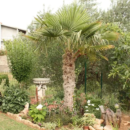 Апартаменты By The Sea Posedarje, Novigrad - 6617 *